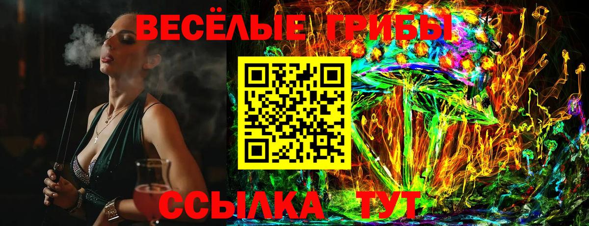Псилоцибиновые грибы Cubensis  Вход с VPN  Сосновый Бор 