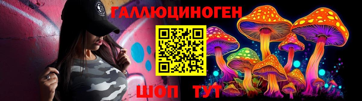 Псилоцибиновые грибы Psilocybine cubensis Сосновый Бор