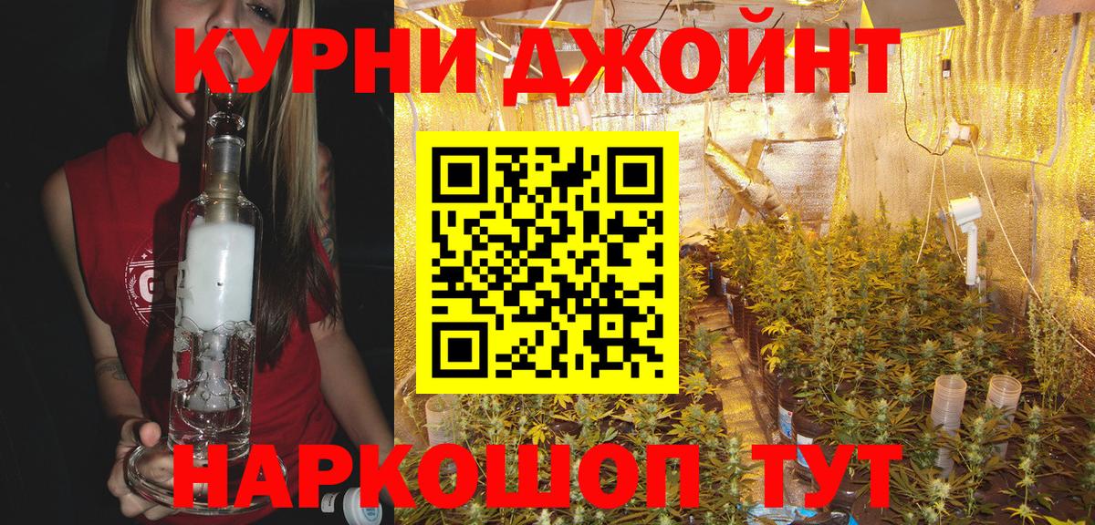 Шишки марихуана OG Kush Сосновый Бор